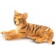 Mojo Tiger Cub Lying Down