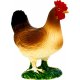 Mojo Hen, Standing