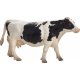 Mojo Holstein Cow