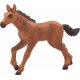 Mojo Hannoverian Foal, Running