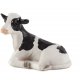 Mojo Holstein Calf, Lying
