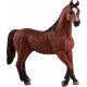 Mojo Arabian Stallion, Chestnut