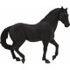 Mojo American Stallion, Black