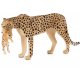 Mojo Cheetah with Cub