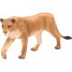 Mojo Lioness