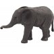 Mojo African Baby Elephant