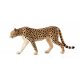Mojo Cheetah Male